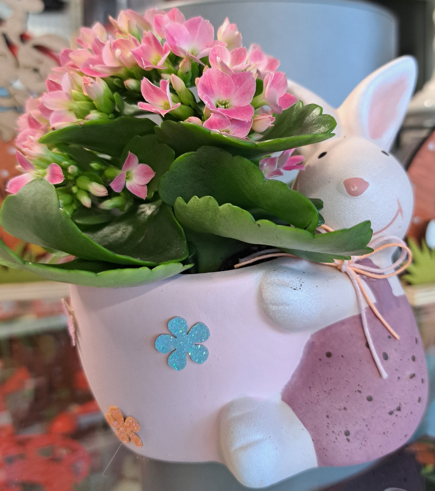 Coniglietto Porta vasetto con kalanchoe blossfeldiana