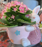 Coniglietto Porta vasetto con kalanchoe blossfeldiana